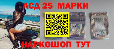 стафф Шебекино