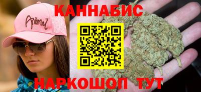стафф Шебекино