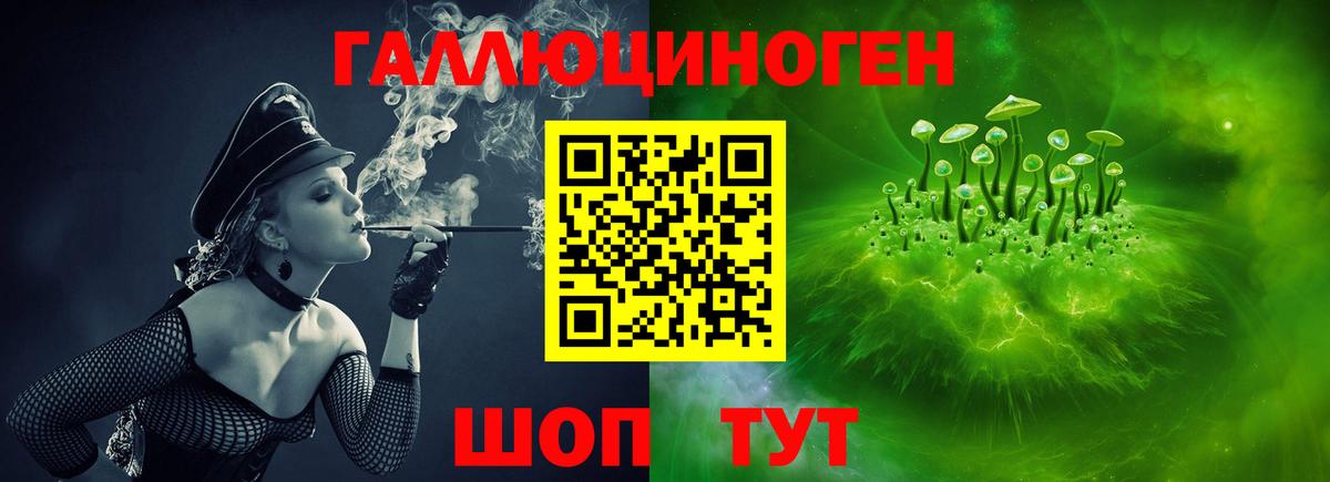 купить   Вход с VPN  Ачхой-Мартан  Галлюциногенные грибы мицелий 